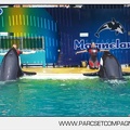 Marineland - Orques - Spectacle - 5017