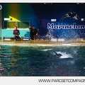 Marineland - Orques - Spectacle - 5046