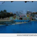 Marineland - Dauphins - Spectacle - Nocturne - 5142