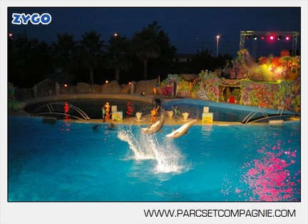 Marineland - Dauphins - Spectacle - Nocturne - 5154