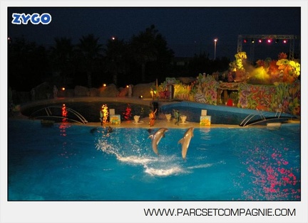 Marineland - Dauphins - Spectacle - Nocturne - 5155