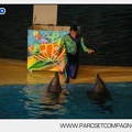 Marineland - Dauphins - Spectacle - Nocturne - 5161