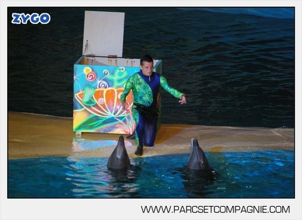 Marineland - Dauphins - Spectacle - Nocturne - 5162