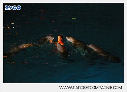 Marineland - Dauphins - Spectacle - Nocturne - 5166
