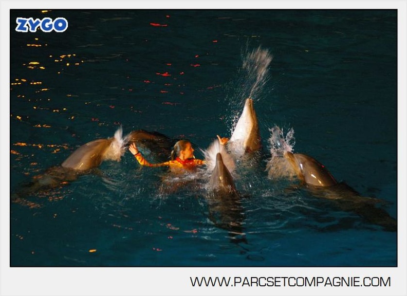Marineland - Dauphins - Spectacle - Nocturne - 5167
