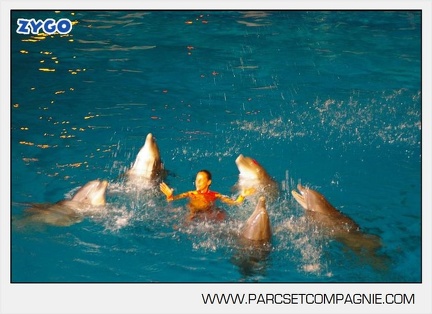 Marineland - Dauphins - Spectacle - Nocturne - 5168