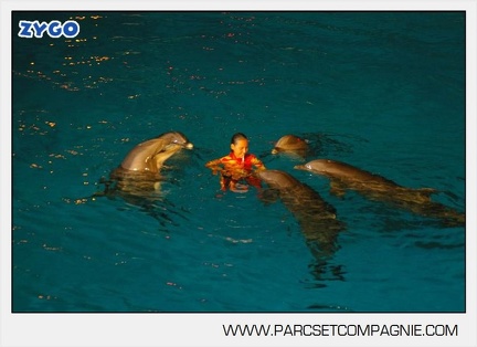 Marineland - Dauphins - Spectacle - Nocturne - 5169