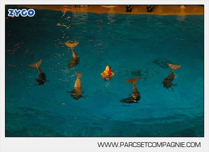 Marineland - Dauphins - Spectacle - Nocturne - 5171
