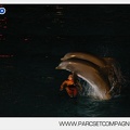 Marineland - Dauphins - Spectacle - Nocturne - 5172