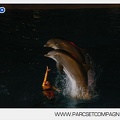 Marineland - Dauphins - Spectacle - Nocturne - 5173