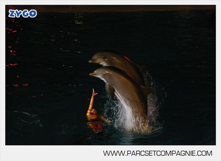 Marineland - Dauphins - Spectacle - Nocturne - 5173