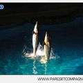 Marineland - Dauphins - Spectacle - Nocturne - 5175
