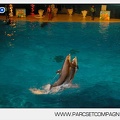 Marineland - Dauphins - Spectacle - Nocturne - 5176