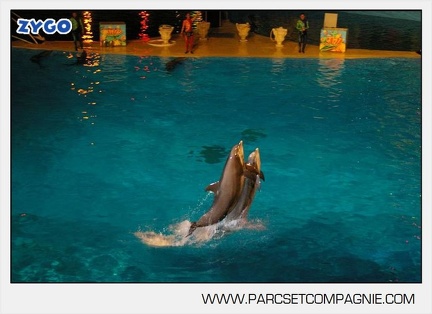 Marineland - Dauphins - Spectacle - Nocturne - 5176