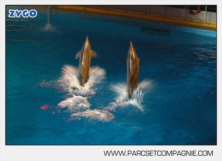 Marineland - Dauphins - Spectacle - Nocturne - 5177