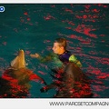 Marineland - Dauphins - Spectacle - Nocturne - 5184