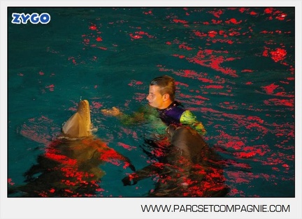 Marineland - Dauphins - Spectacle - Nocturne - 5184