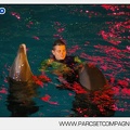 Marineland - Dauphins - Spectacle - Nocturne - 5185
