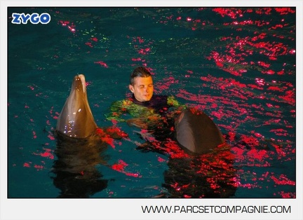 Marineland - Dauphins - Spectacle - Nocturne - 5185