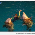 Marineland - Dauphins - Spectacle - Nocturne - 5189