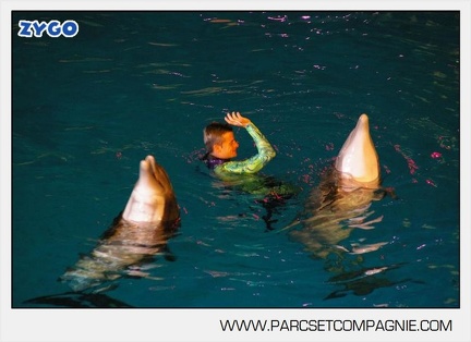 Marineland - Dauphins - Spectacle - Nocturne - 5190