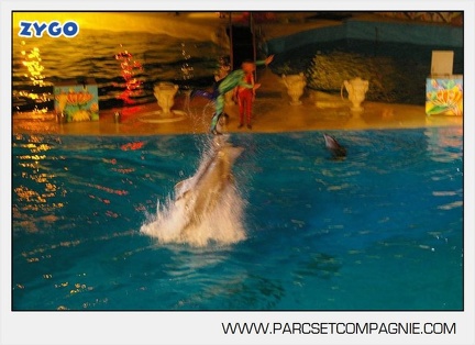 Marineland - Dauphins - Spectacle - Nocturne - 5191