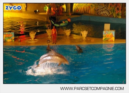 Marineland - Dauphins - Spectacle - Nocturne - 5192