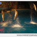 Marineland - Dauphins - Spectacle - Nocturne - 5193