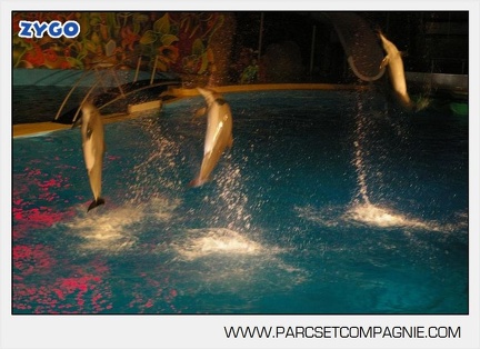 Marineland - Dauphins - Spectacle - Nocturne - 5193