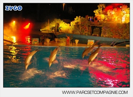 Marineland - Dauphins - Spectacle nocturne - 5410
