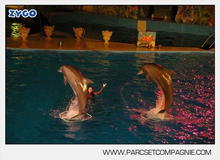 Marineland - Dauphins - Spectacle nocturne - 5413
