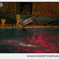 Marineland - Dauphins - Spectacle nocturne - 5415
