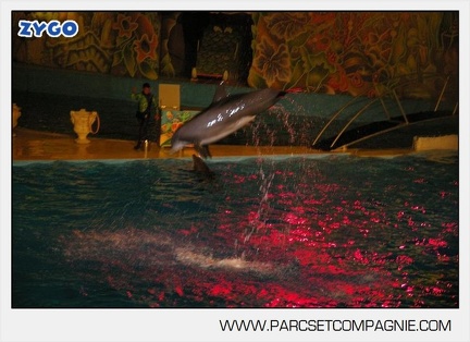 Marineland - Dauphins - Spectacle nocturne - 5415