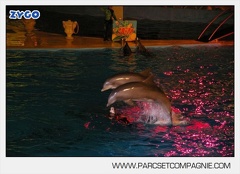 Marineland - Dauphins - Spectacle nocturne - 5425