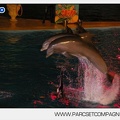 Marineland - Dauphins - Spectacle nocturne - 5426