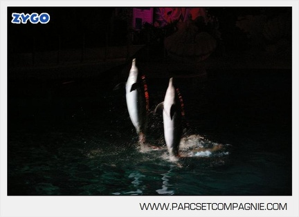 Marineland - Dauphins - Spectacle nocturne - 5428