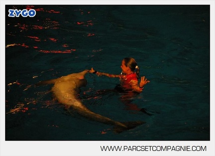 Marineland - Dauphins - Spectacle nocturne - 5430