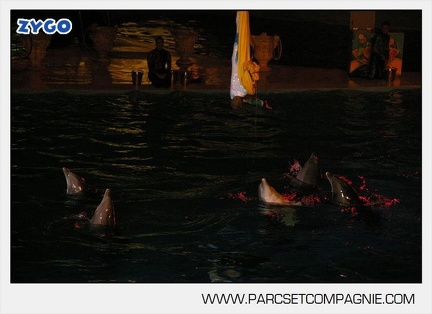 Marineland - Dauphins - Spectacle nocturne - 5445