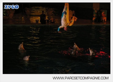 Marineland - Dauphins - Spectacle nocturne - 5446