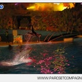 Marineland - Dauphins - Spectacle nocturne - 5448