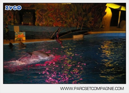 Marineland - Dauphins - Spectacle nocturne - 5449