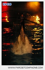 Marineland - Dauphins - Spectacle nocturne - 5450