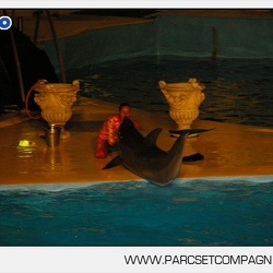 Marineland - Dauphins - Spectacle nocturne