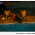 Marineland - Dauphins - Spectacle nocturne - 5452