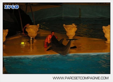 Marineland - Dauphins - Spectacle nocturne - 5452