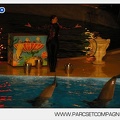 Marineland - Dauphins - Spectacle nocturne - 5453
