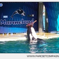Marineland - Orques - Spectacle - 5463