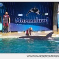 Marineland - Orques - Spectacle - 5484