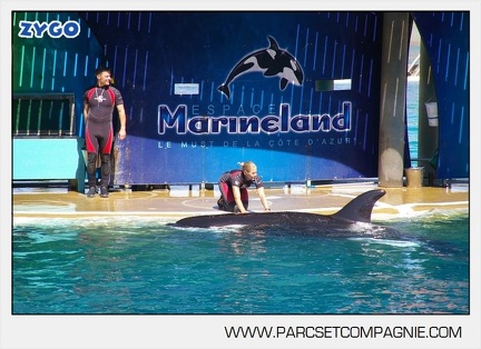 Marineland - Orques - Spectacle - 5484