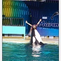 Marineland - Orques - Spectacle - 5488